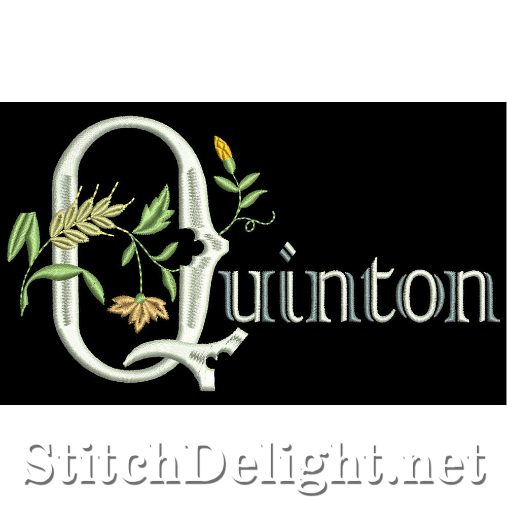 SDS1101 Quinton