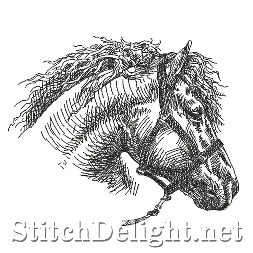 SDS0349 Pencil Sketch Horse