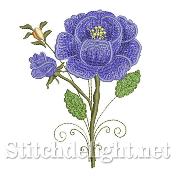 SDS0695 Blue Rose