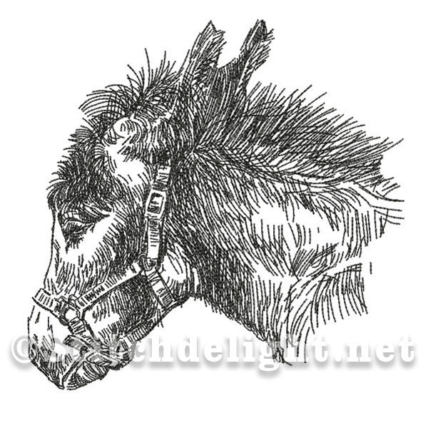 SDS0476 Pencil Sketch Donkey