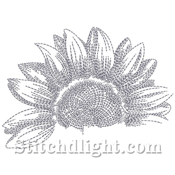 SD1443 Pencil Sketch Sunflower