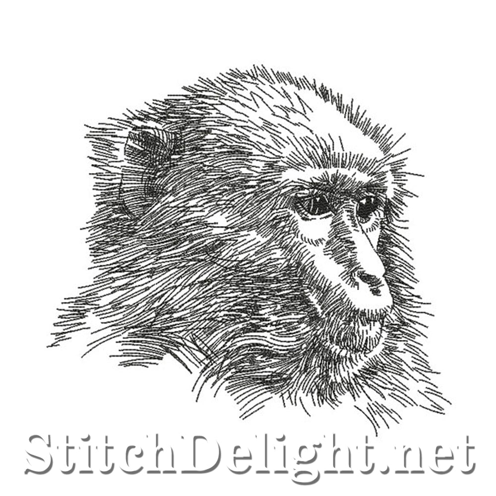 SDS0772 Pencil Sketch Monkey