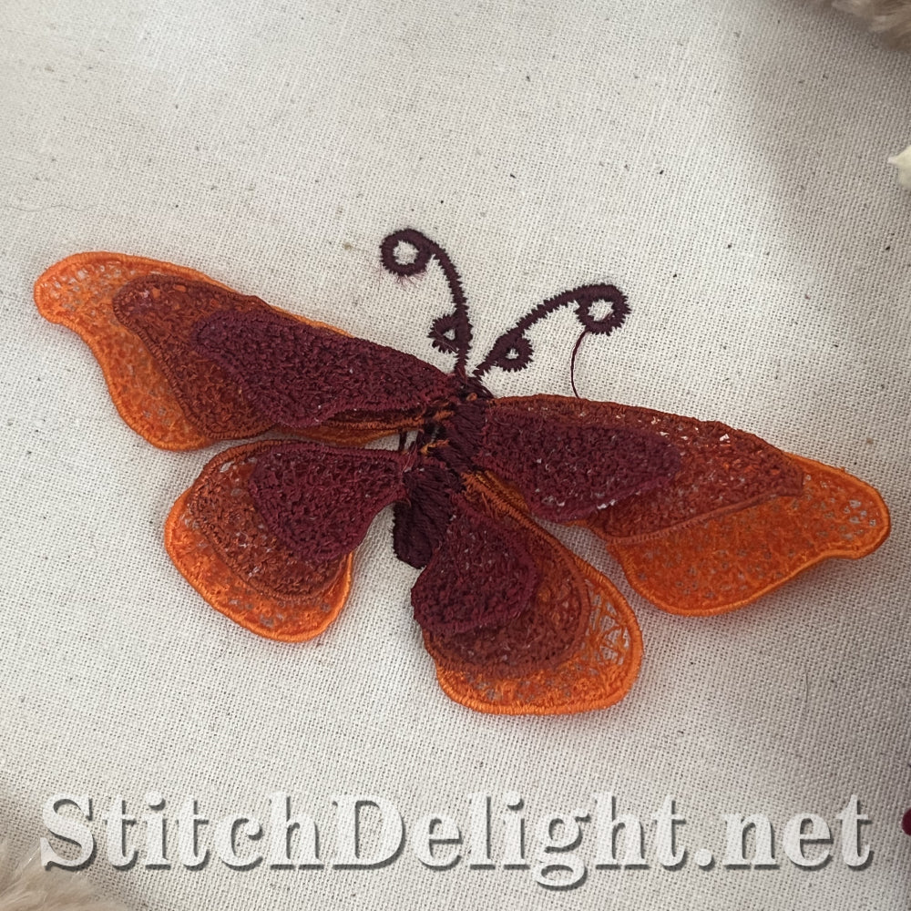 SD020 3D FSL Papillon 10