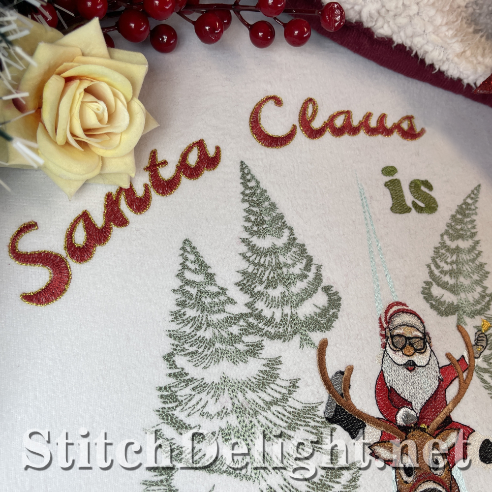 SDS3294 Santa Claus