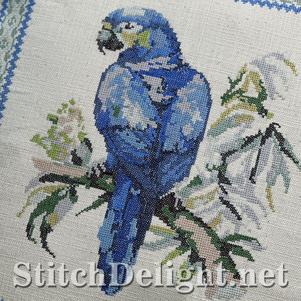 SDS4422 Blue Macaw