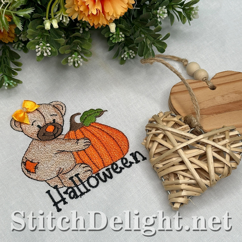 SDS4443 Halloween Teddy