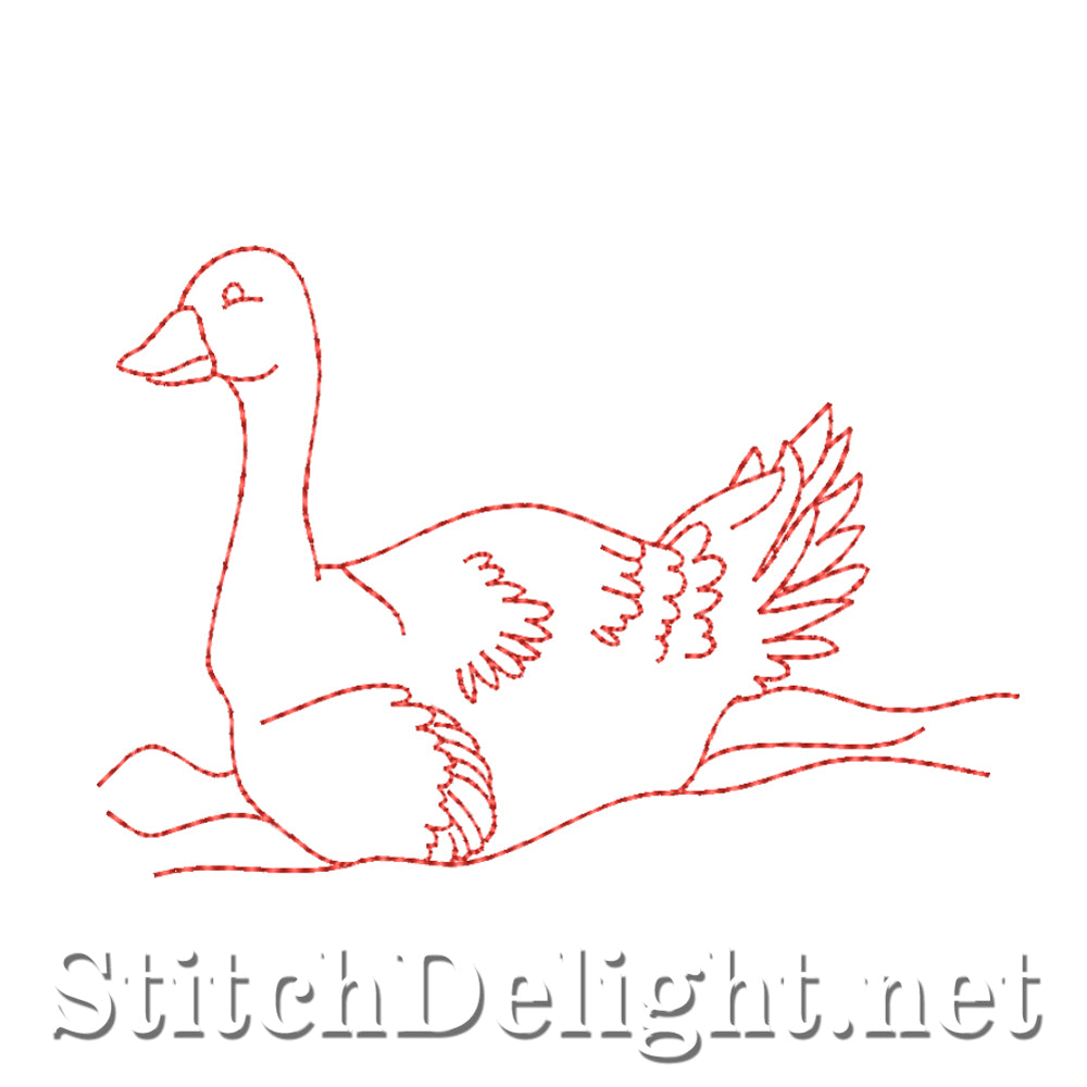 SDS4551 Elegant Swans