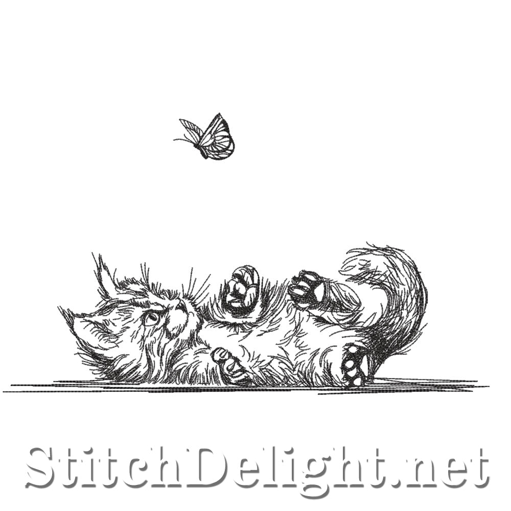 SDS3205 Pencil Sketch Kitten