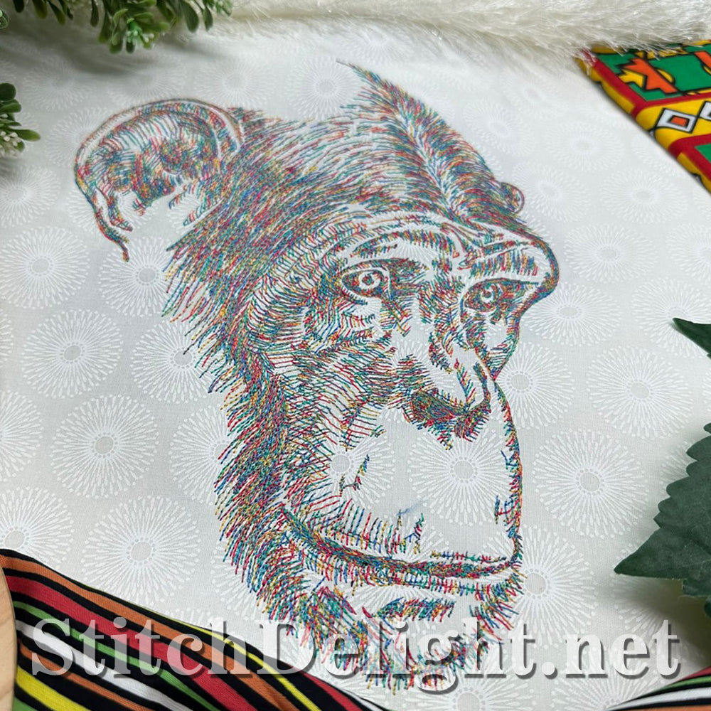 SDS4205 Pencil Sketch Chimp