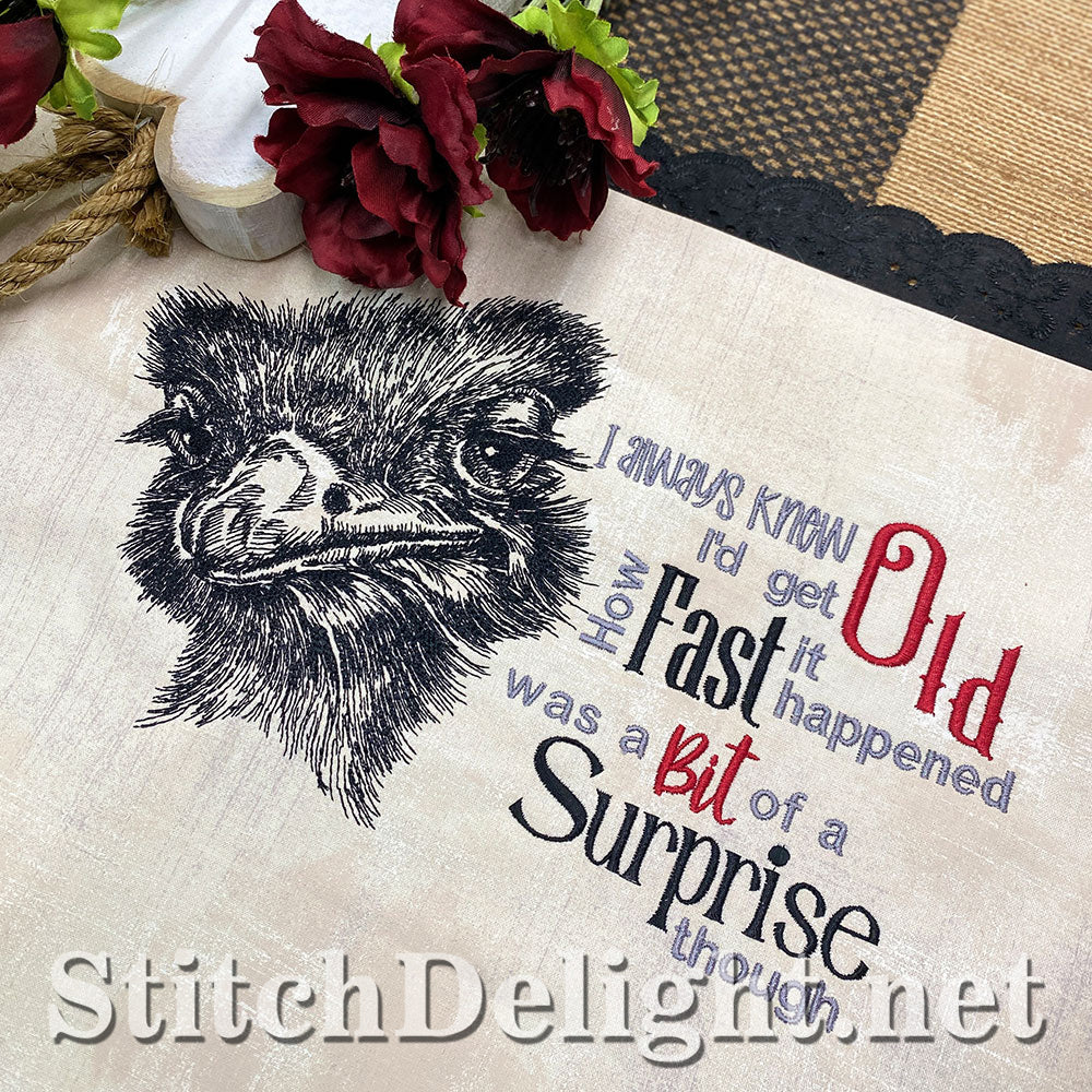 SDS5522 Lady Ostrich Quote