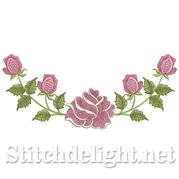 SDS0691 Rose Bordure