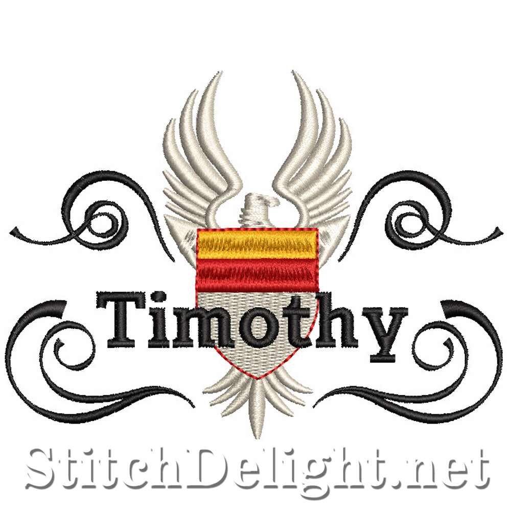 FDS2853 Timothée