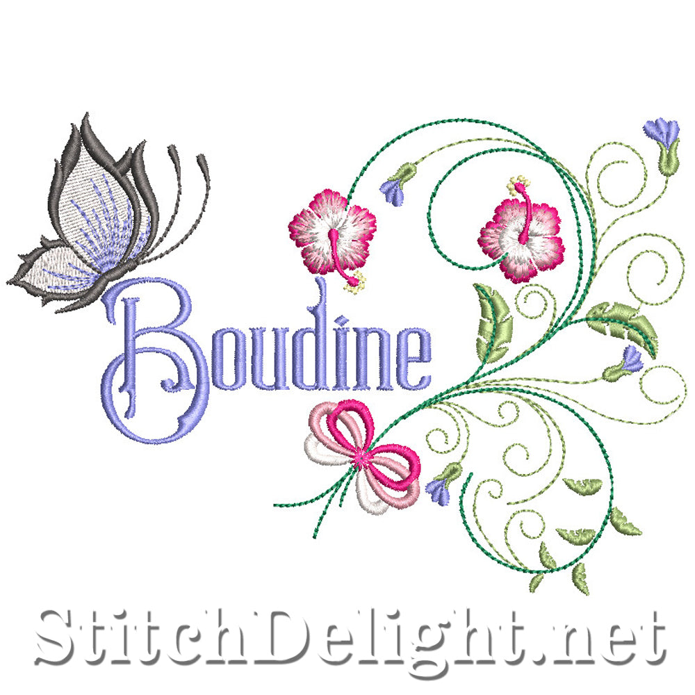 SDS2131 Boudine