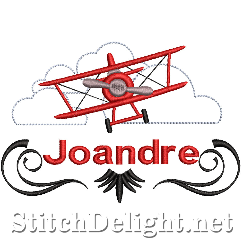 SDS5191 Joandre