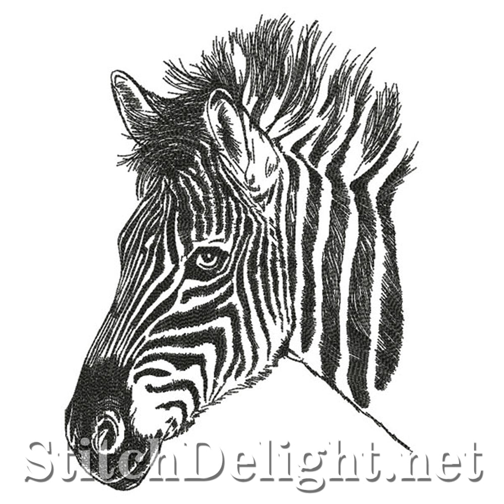 SDS0768 Pencil Sketch Zebra
