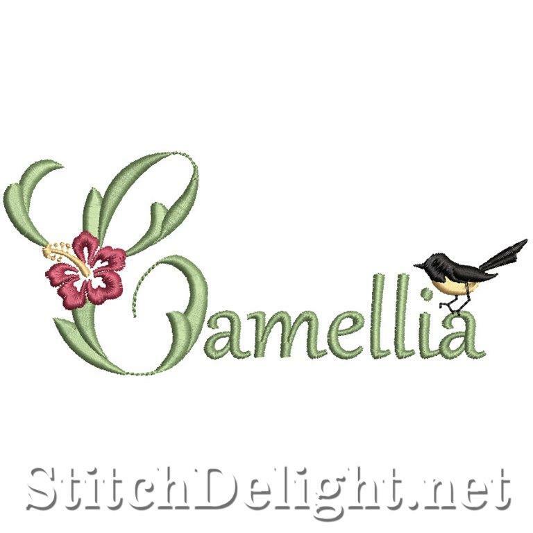 SDS1868 Camellia