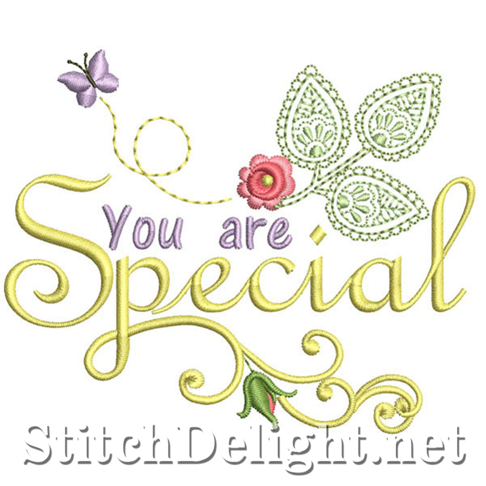 SDS0051 You are Special