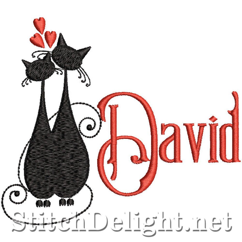 SDS2810 David