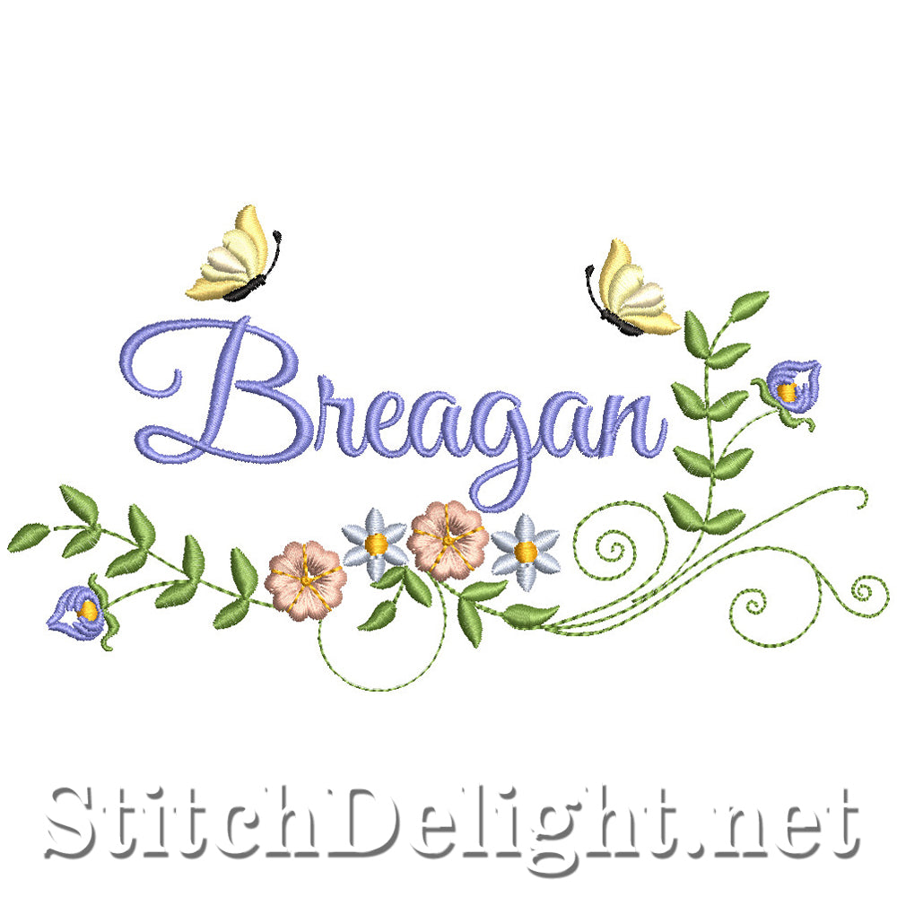 SDS2463 Breagan