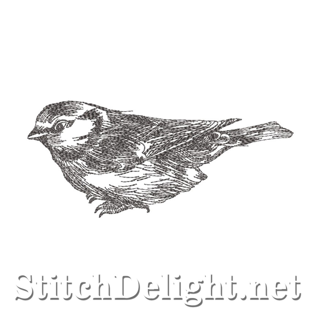 SDS4156 Pencil Sketch Birdy