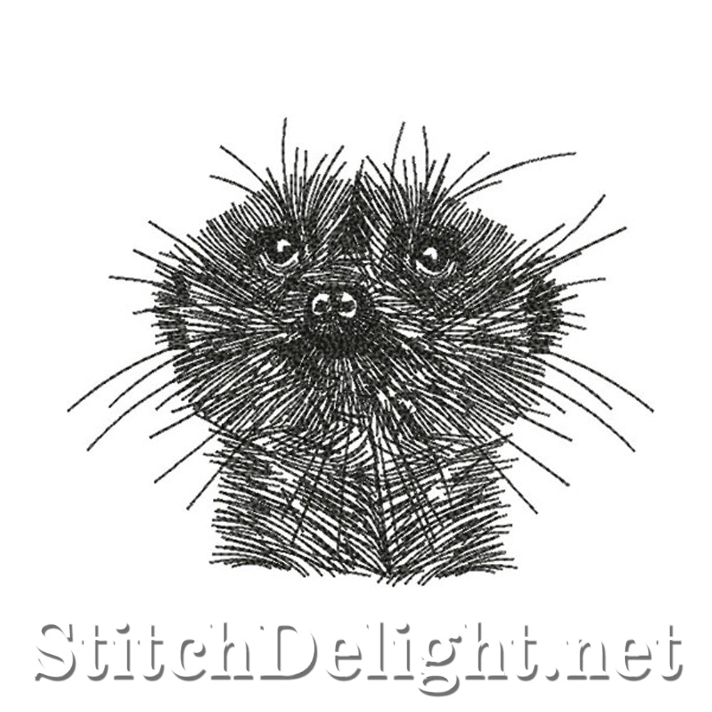 SDS0781 Pencil Sketch Meerkat