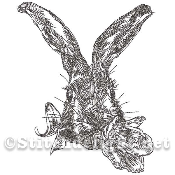 SD1395 Croquis au crayon Precilla Rabbit
