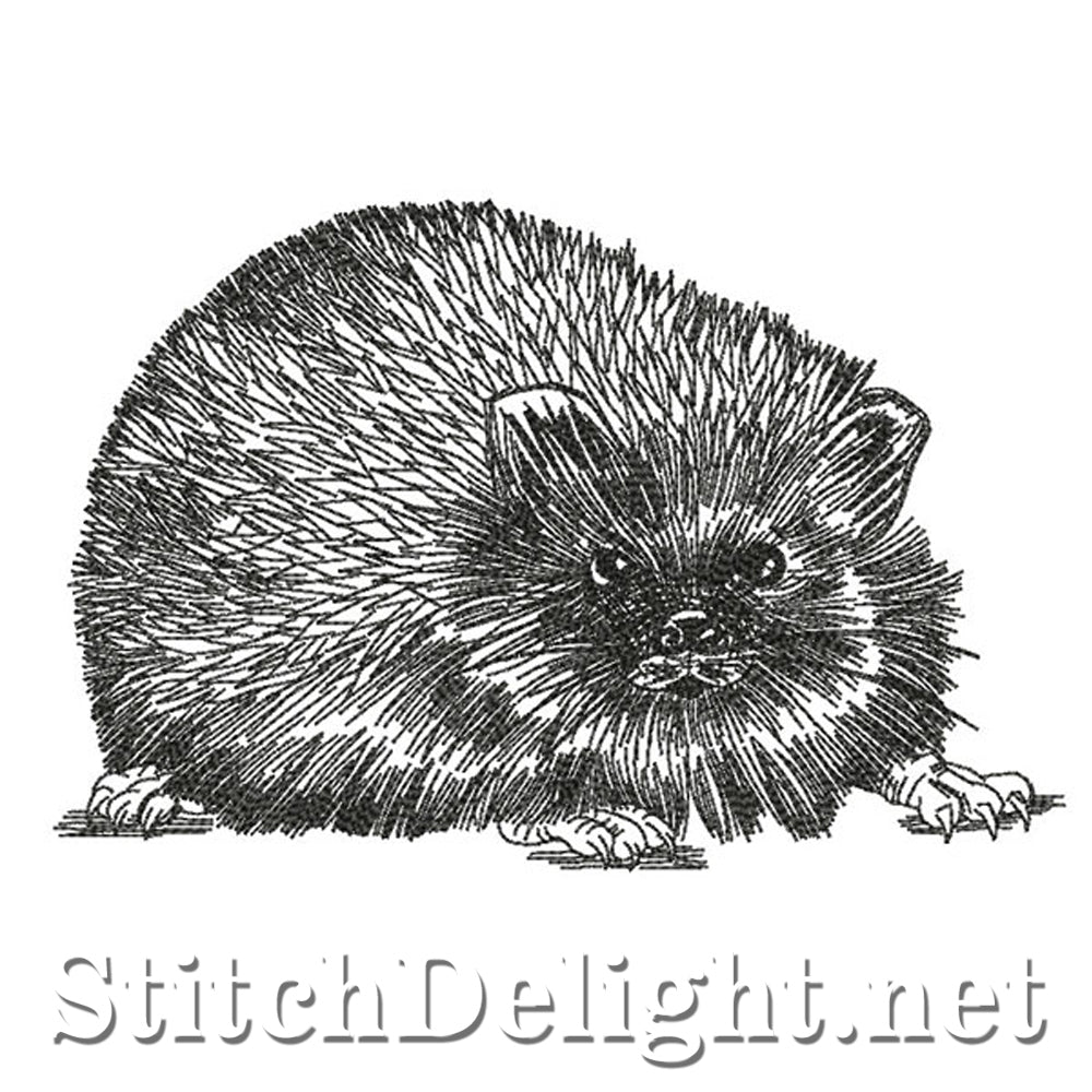 SDS0770 Pencil Sketch Hedgehog