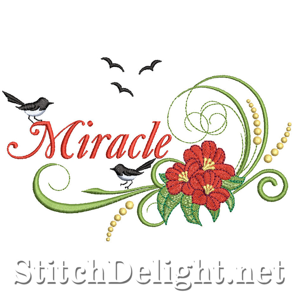 SDS2169 Miracle