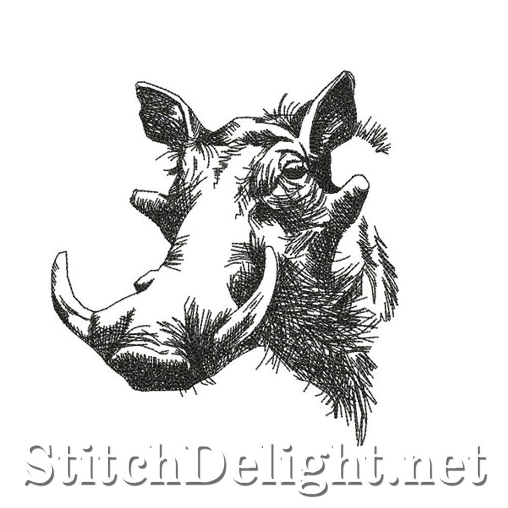 SDS0766 Pencil Sketch Warthog