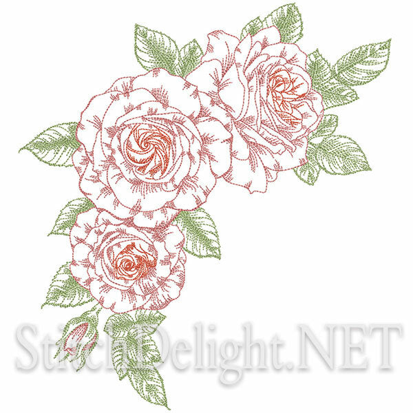 SD1283 Roses