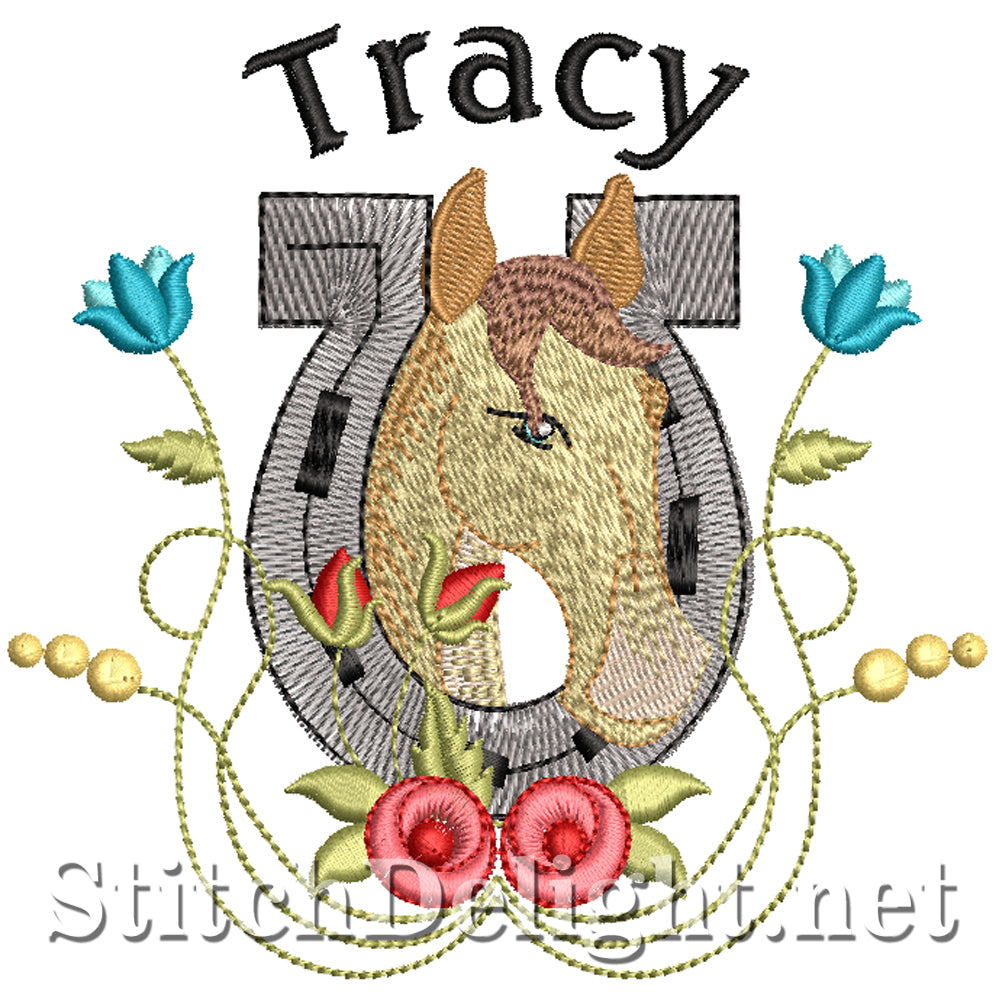 SDS5230 Tracy