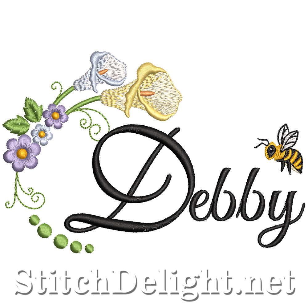 SDS5042 Debby
