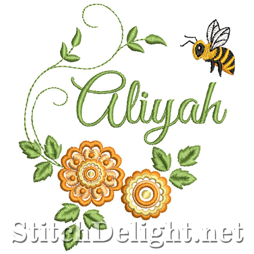 SDS2700 Aliyah