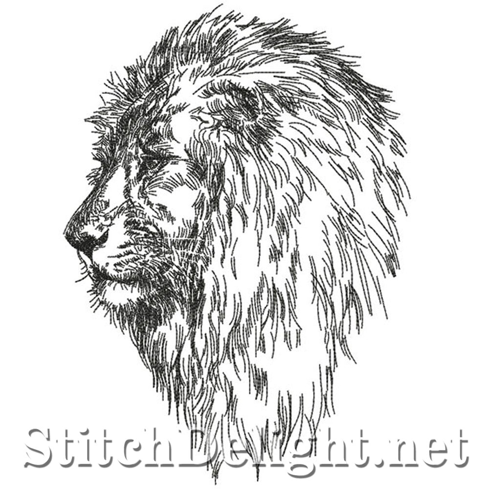 Lion de croquis au crayon SDS0747