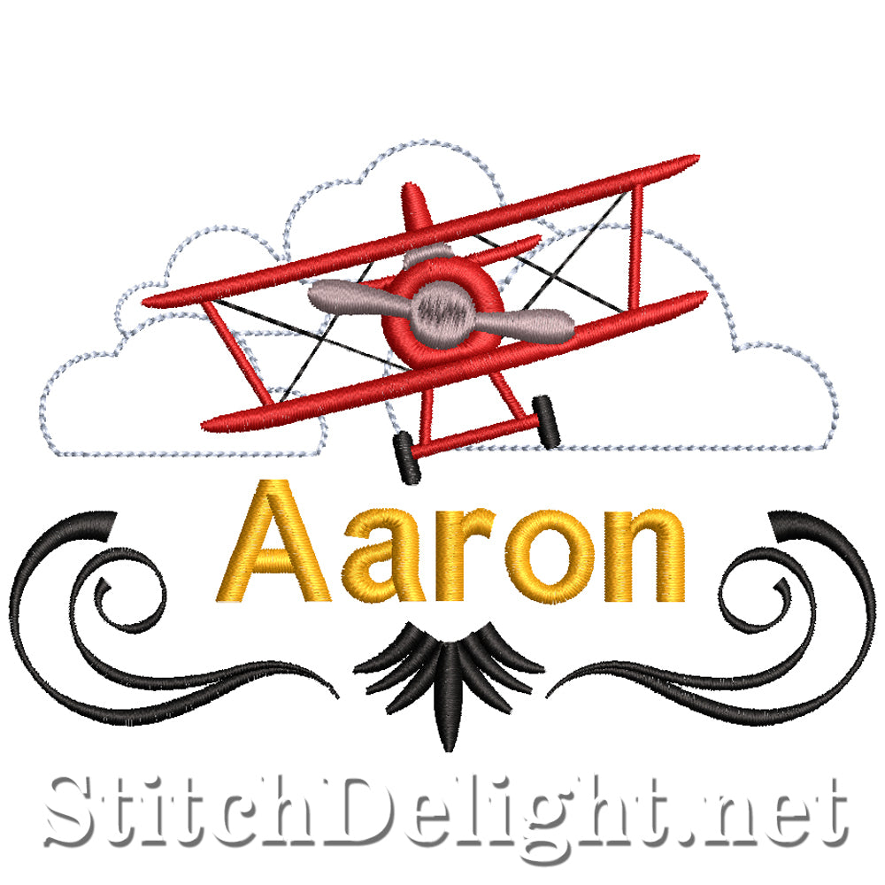 SDS5101 Aaron