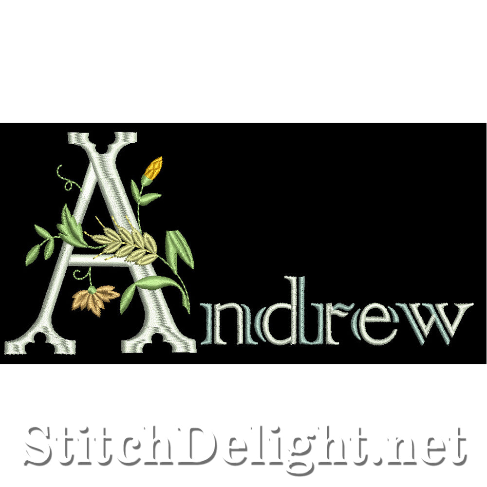 SDS1081 Andrew