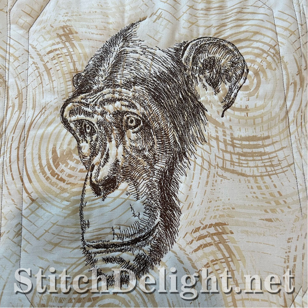 SDQL0234 Sketch Chimpanzee