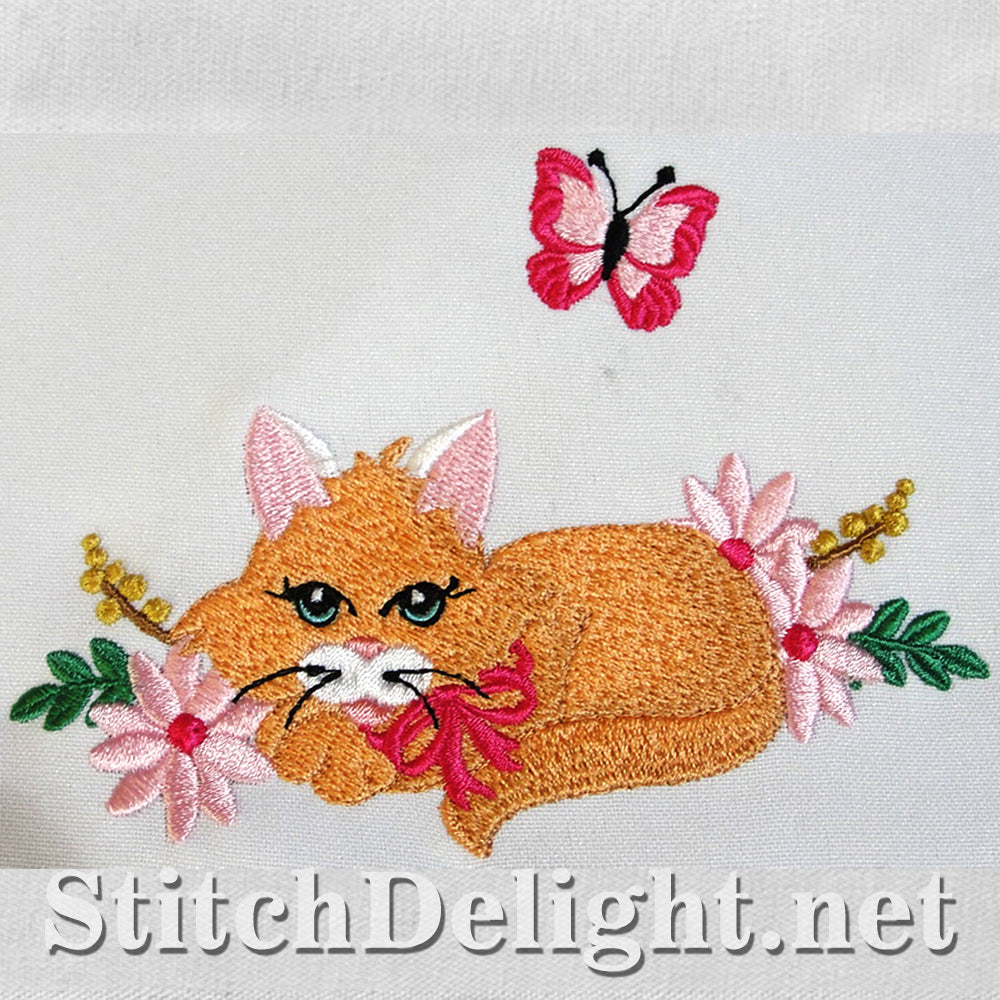 SDS3115 Kitty Kat Single 10