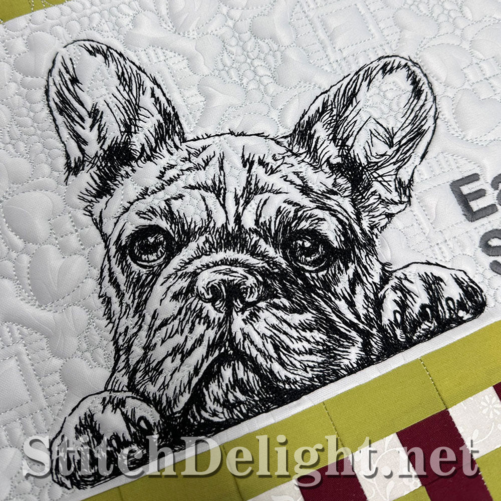 SDS4221 Bull Dog Pencil Sketch