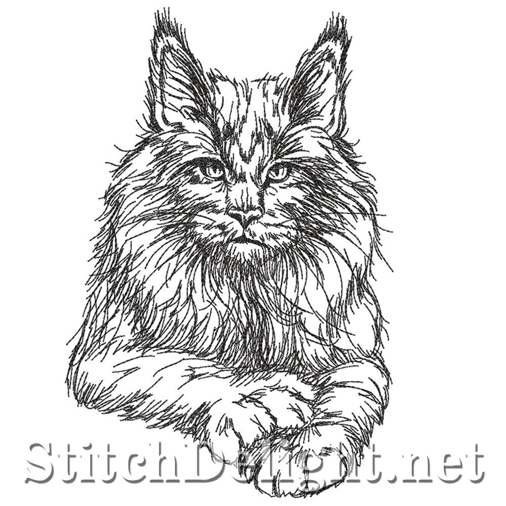 SDS4225 Pencil Sketch Maine Coon Cat